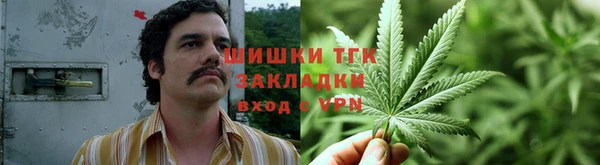 скорость Алзамай